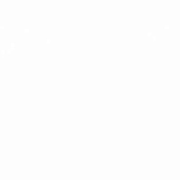 Shorts — #1304 2