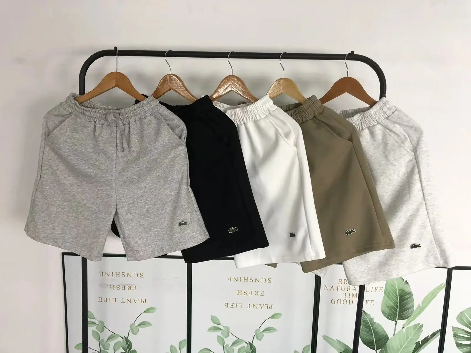 Shorts — #2354 2