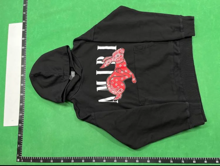 Unisex Embroidered Printed Letter-Graphic Hoodie — LH25 4