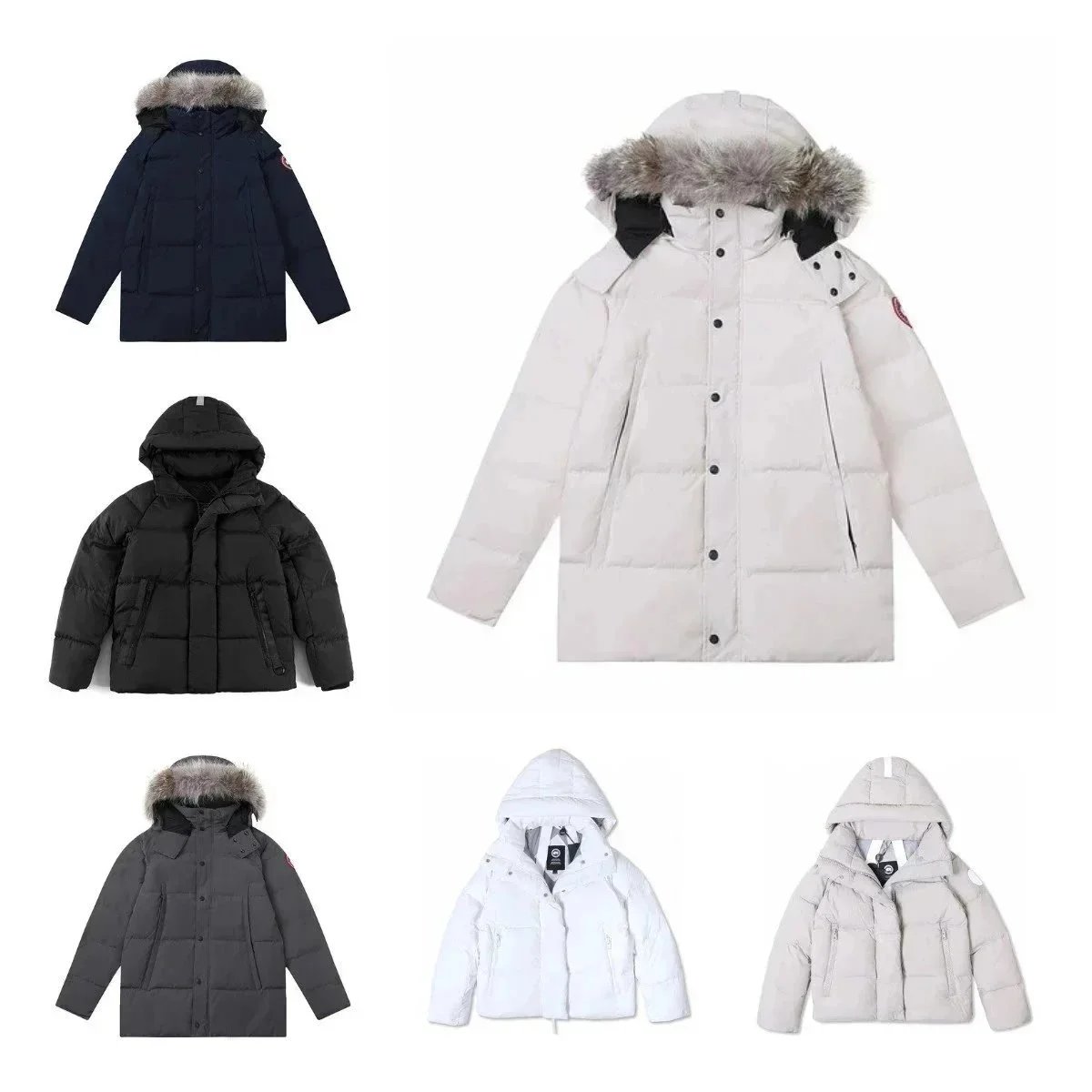 Down Jacket — #2638