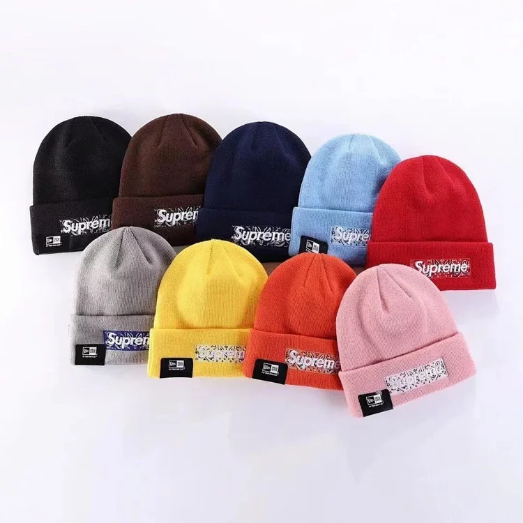Embroidered Knit Beanie — #2661 2