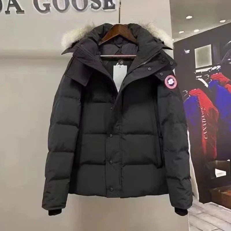 Down Jacket — #2684