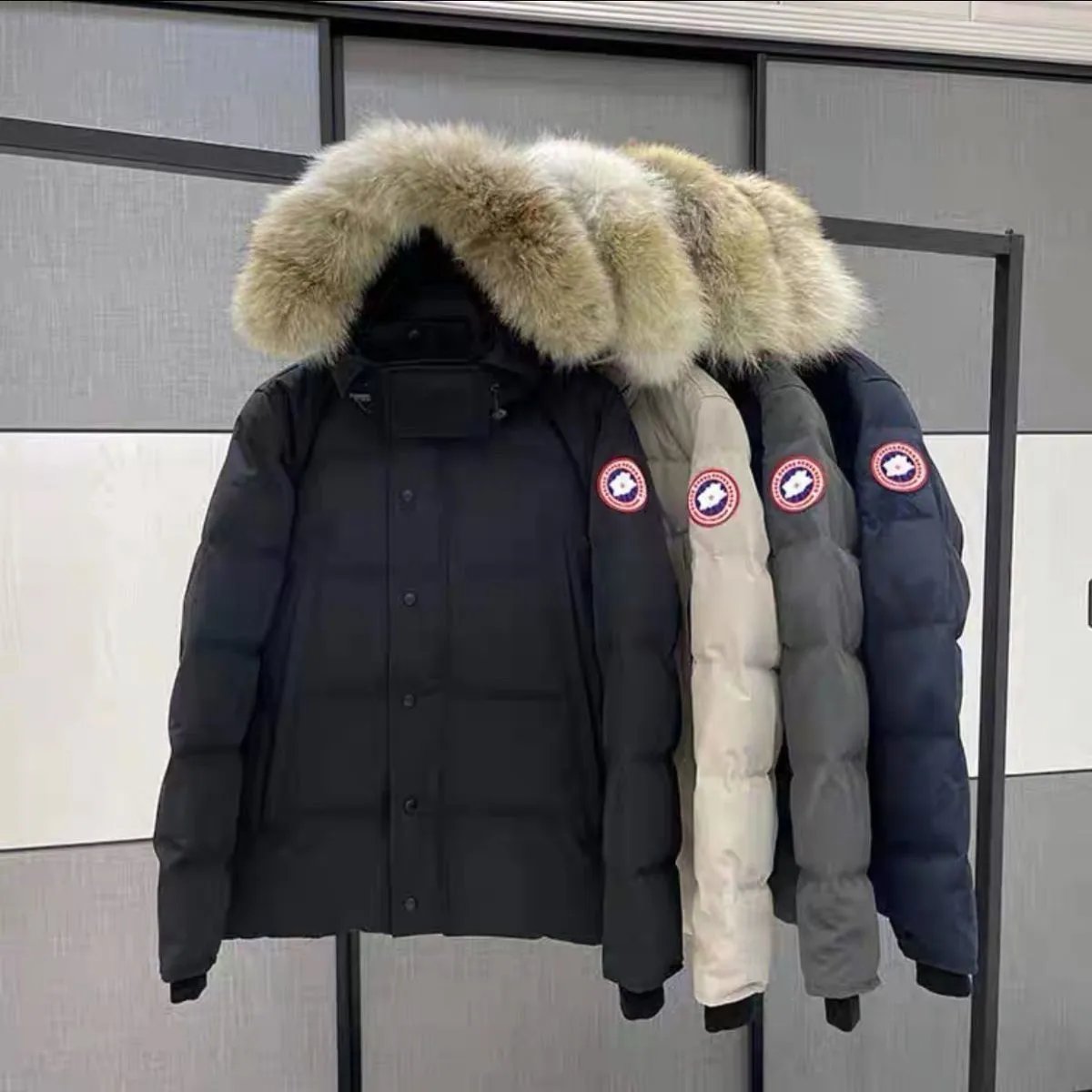 Hooded Padded Jacket — #3363