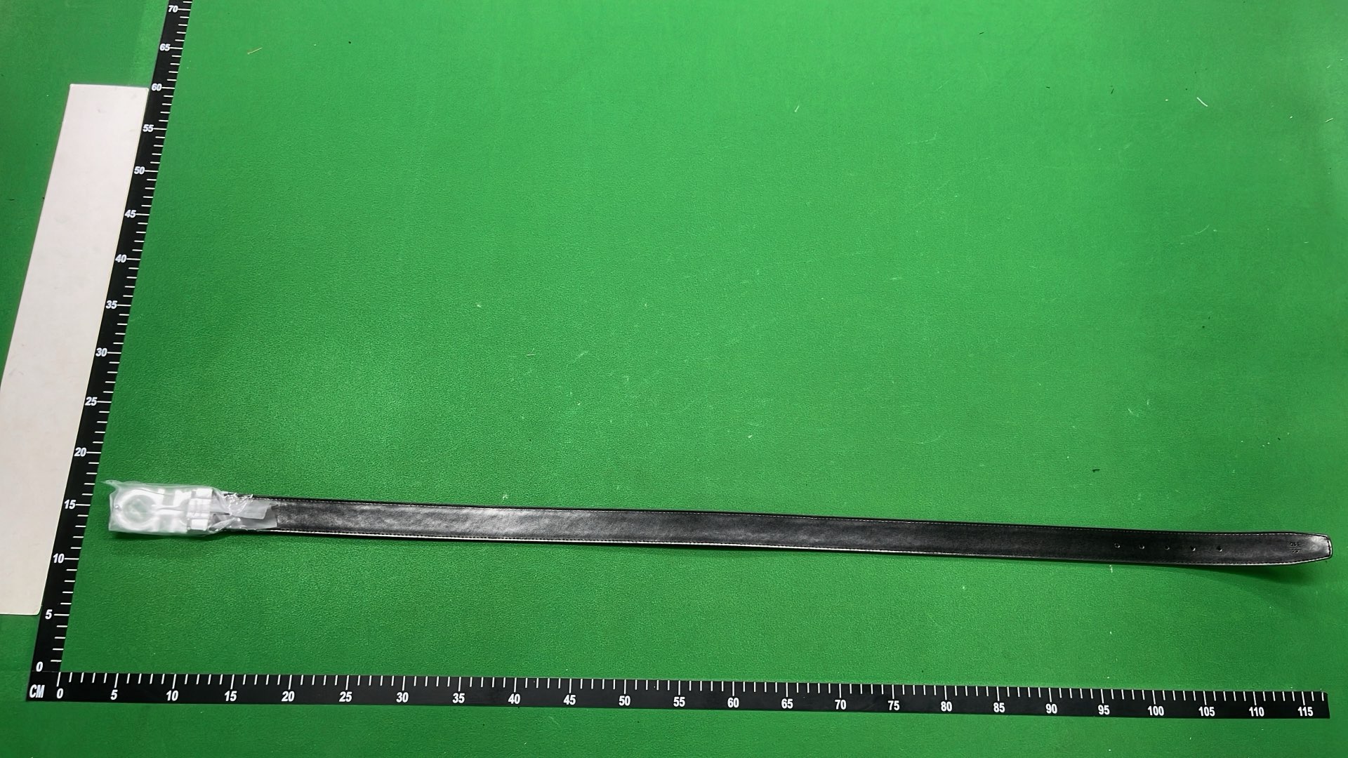 Belt — PSXPDXQTP001 7