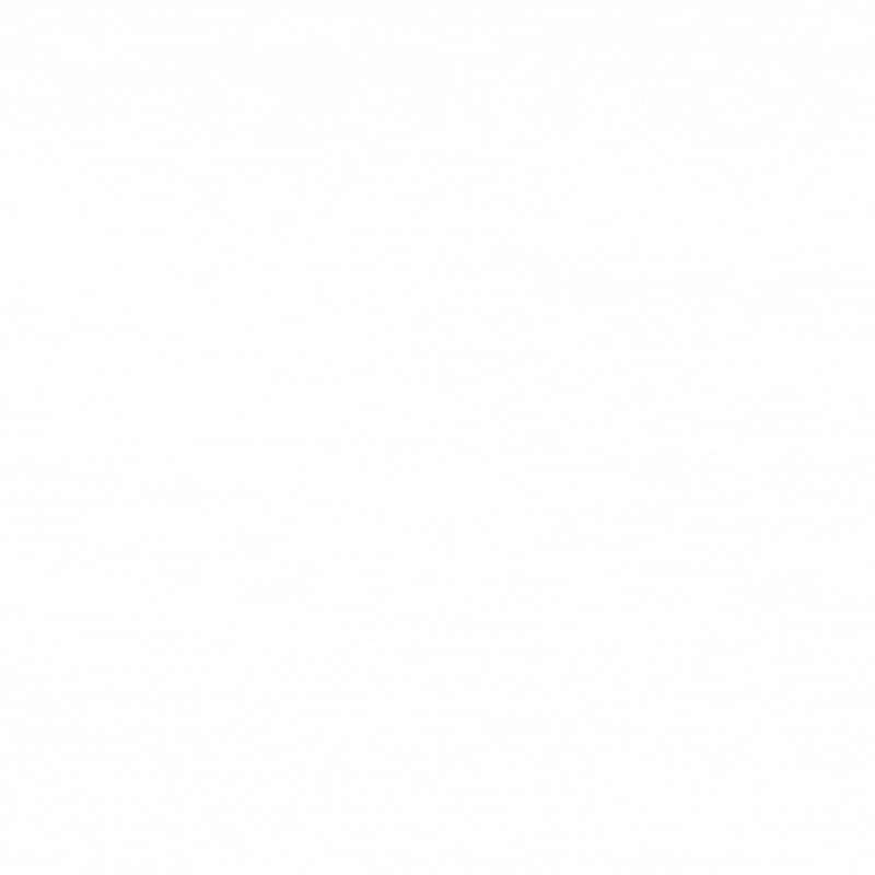 Sweatshirt — #4242