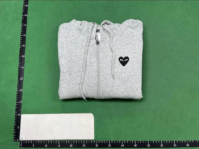 Hoodie — DSCS 3