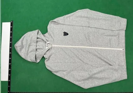 Hoodie — DSCS 4