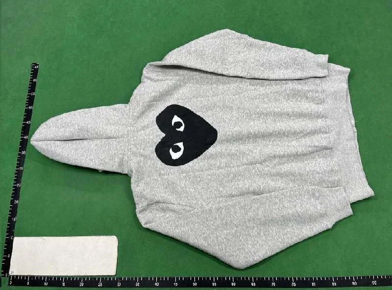 Hoodie — DSCS 5