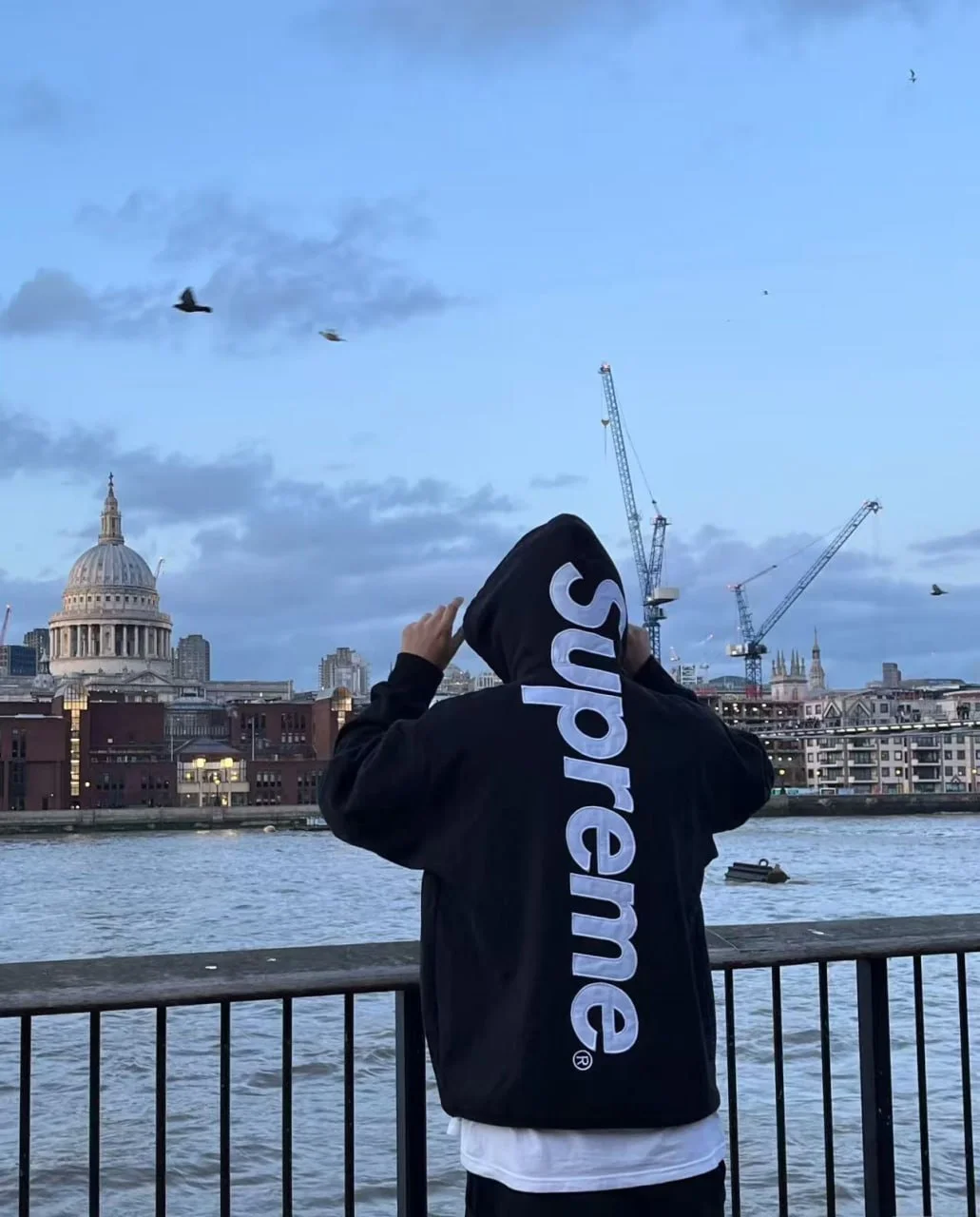 Sweatshirt — #6219 3