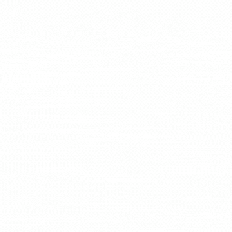 Sweatshirt — #6810